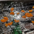 Bulk Pack Frozen Mandarin Orange Segmente